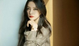 扒叔大爆料杨紫肖战视频,扒叔大爆料背后的真相揭晓